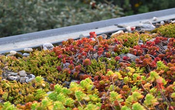 the cost of Graveley green roof installation